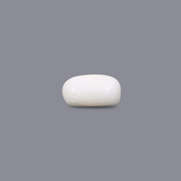 White Coral - 4.85 Carat