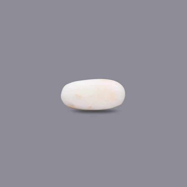 White Coral - 3.6 Carat