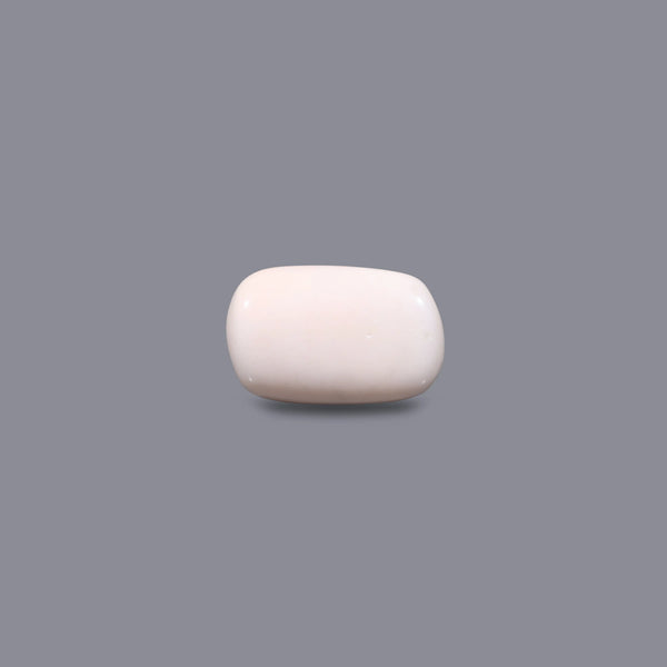 White Coral - 3.6 Carat