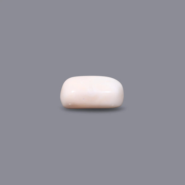 White Coral - 3.6 Carat