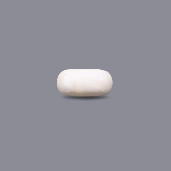 White Coral - 4.25 Carat - Pramogh