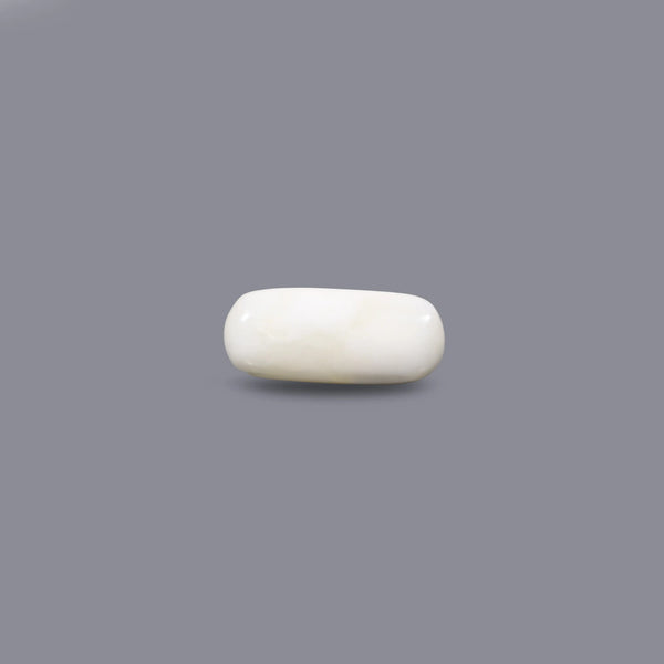 White Coral - 5.5 Carat