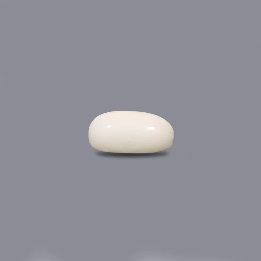 White Coral - 4.5 Carat