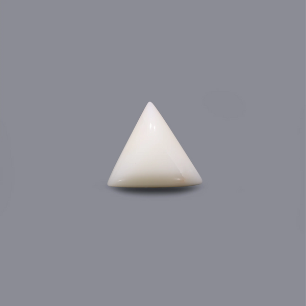 White Coral - 12.6 Carat - Pramogh