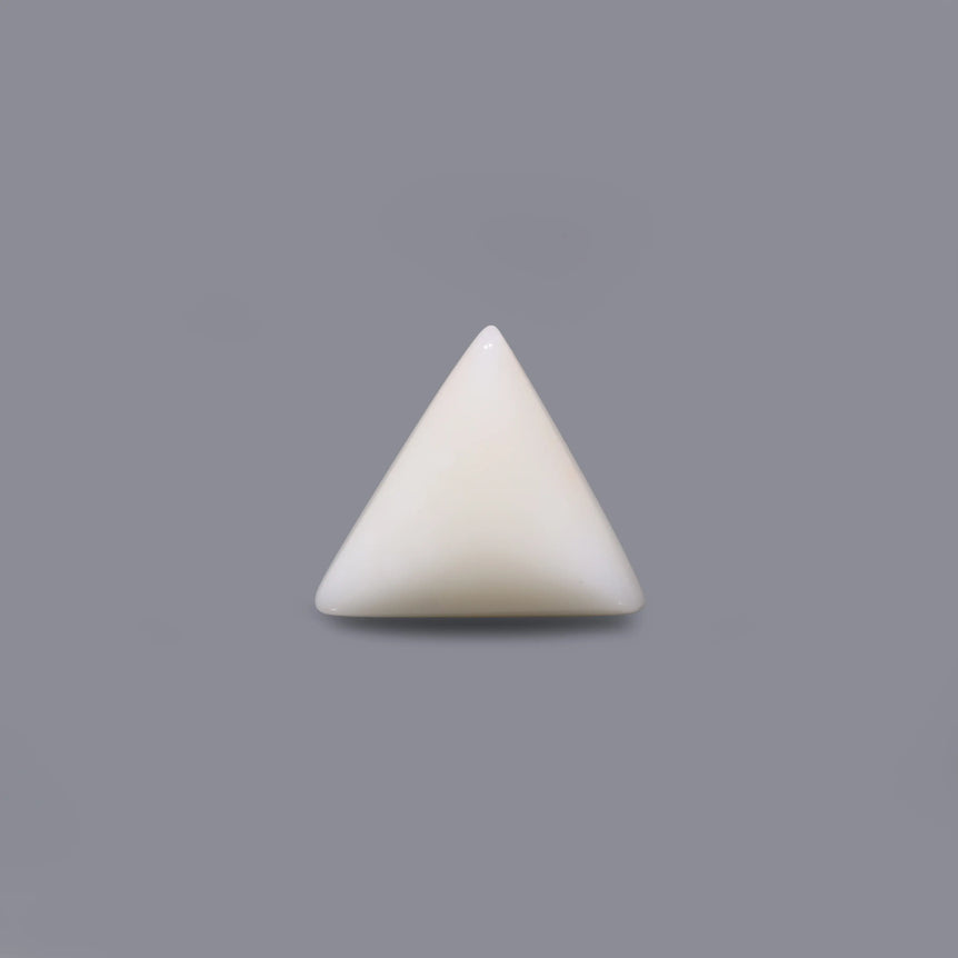White Coral - 12.6 Carat