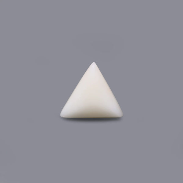 White Coral - 12.6 Carat