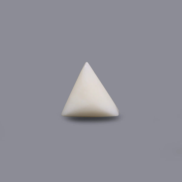 White Coral - 11.5 Carat
