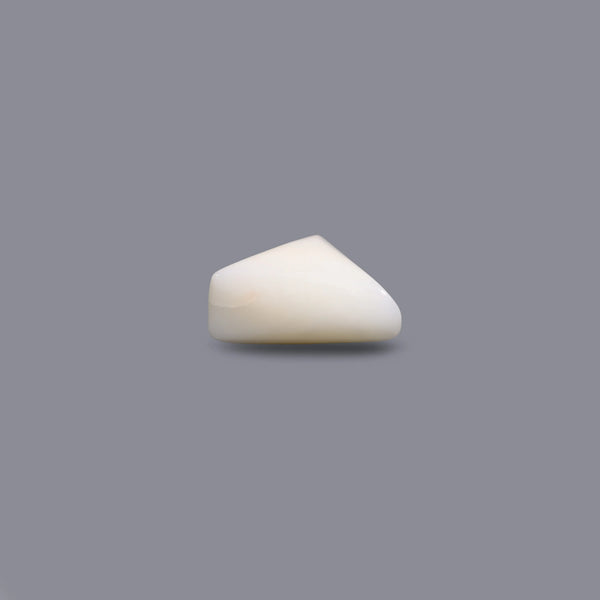 White Coral - 11.5 Carat