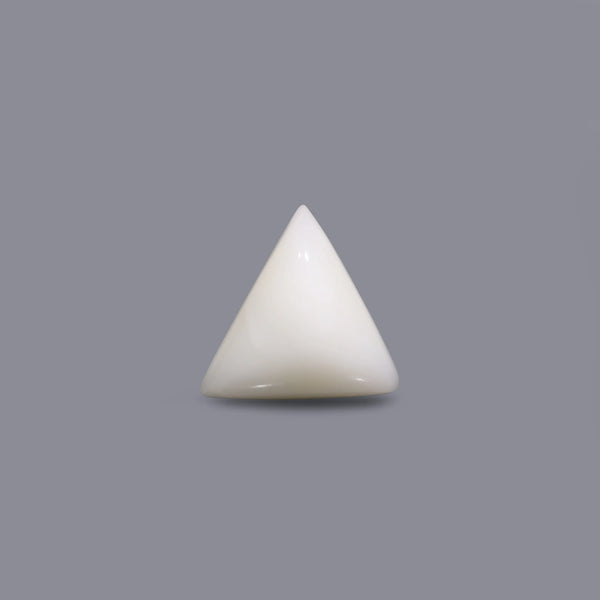 White Coral - 14.6 Carat - Pramogh