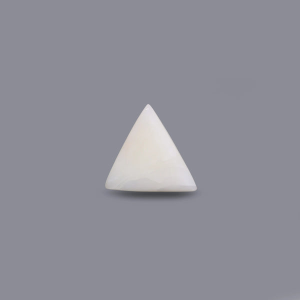 White Coral - 14.6 Carat