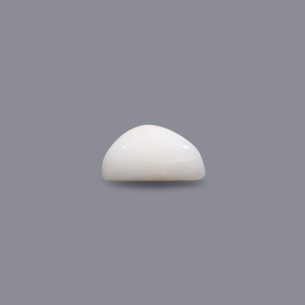 White Coral - 14.6 Carat