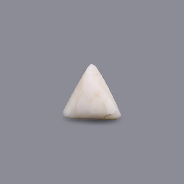 White Coral - 7.05 Carat