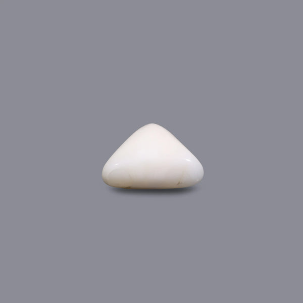 White Coral - 7.05 Carat