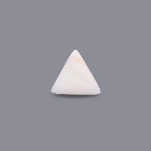 White Coral - 5.7 Carat