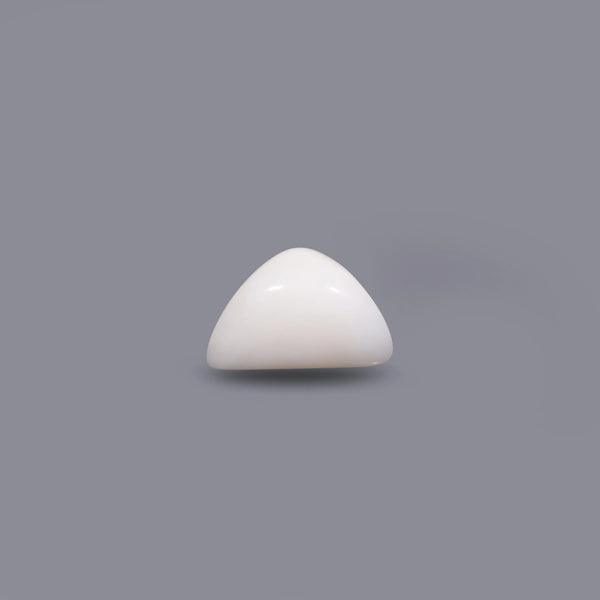 White Coral - 5.7 Carat