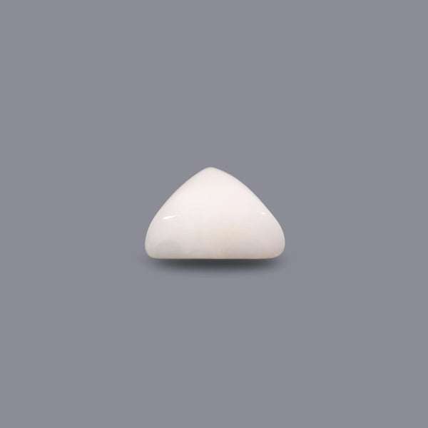 White Coral - 5.2 Carat
