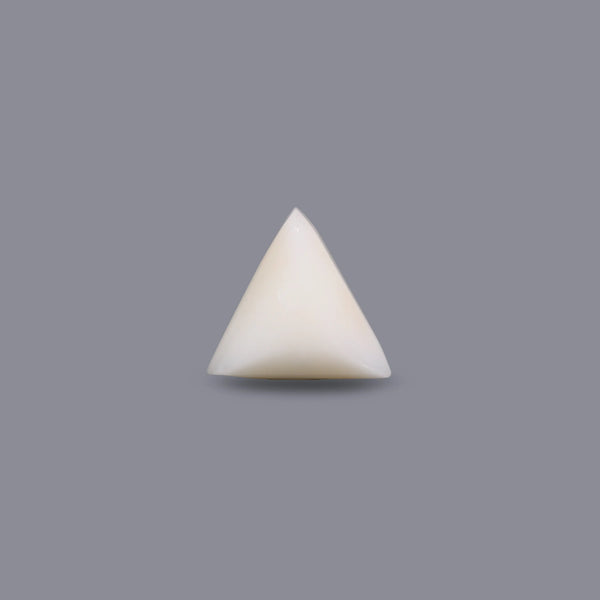 White Coral - 5.65 Carat - Pramogh