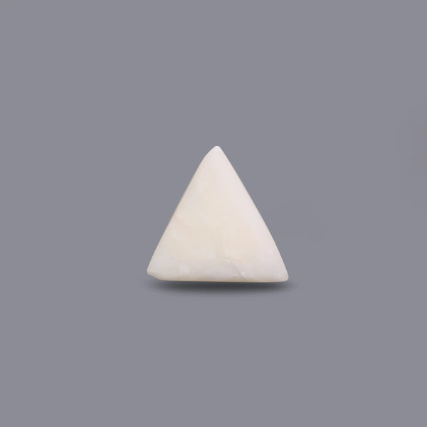White Coral - 14.05 Carat