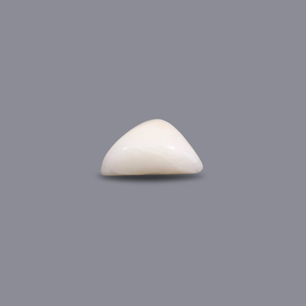 White Coral - 14.05 Carat