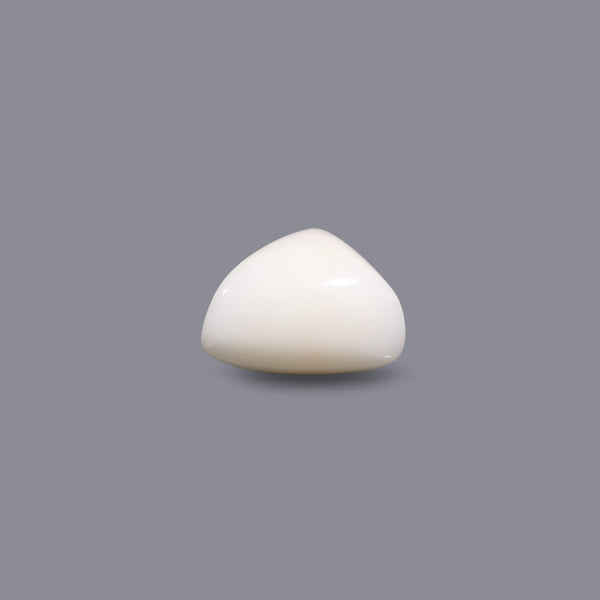 White Coral - 8.55 Carat