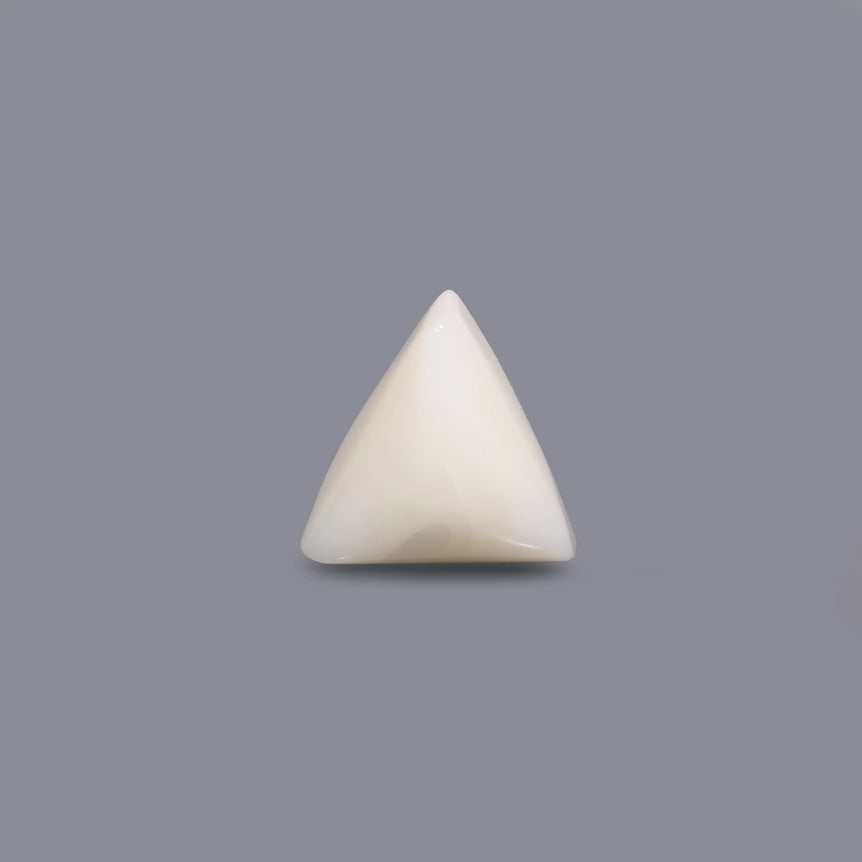 White Coral - 9.25 Carat