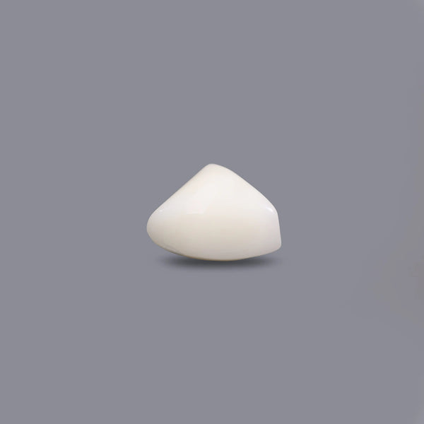 White Coral - 9.25 Carat