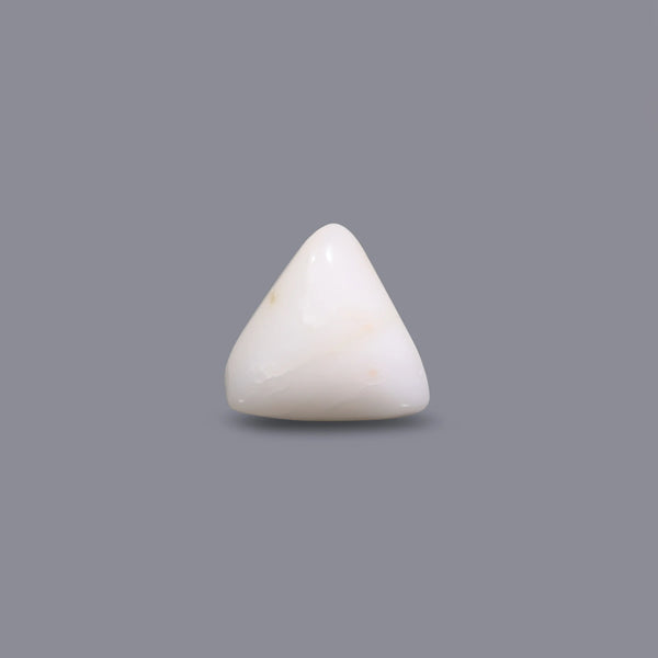 White Coral - 7.45 Carat