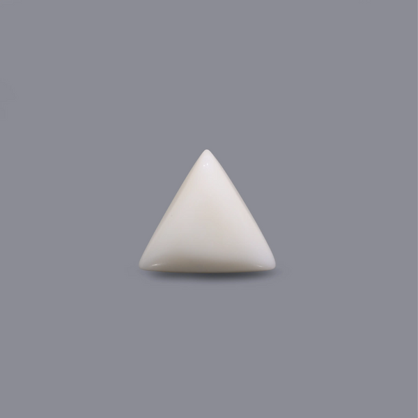 White Coral - 8.55 Carat