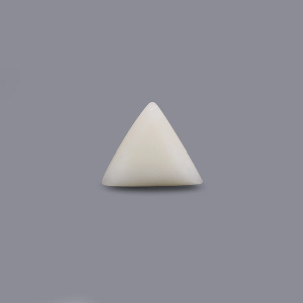 White Coral - 13.9 Carat
