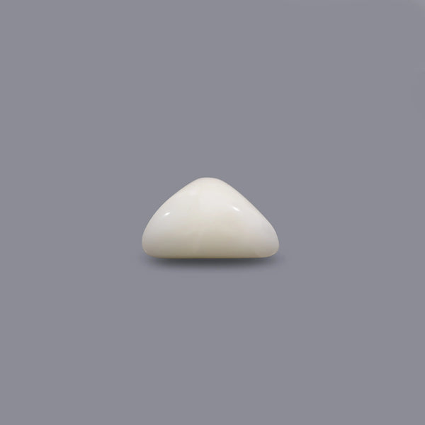 White Coral - 13.9 Carat