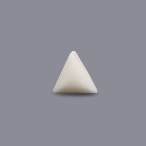 White Coral - 6.85 Carat