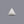 Load image into Gallery viewer, White Coral - 9.9 Carat - Pramogh
