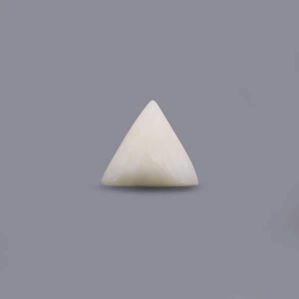 White Coral - 9.9 Carat