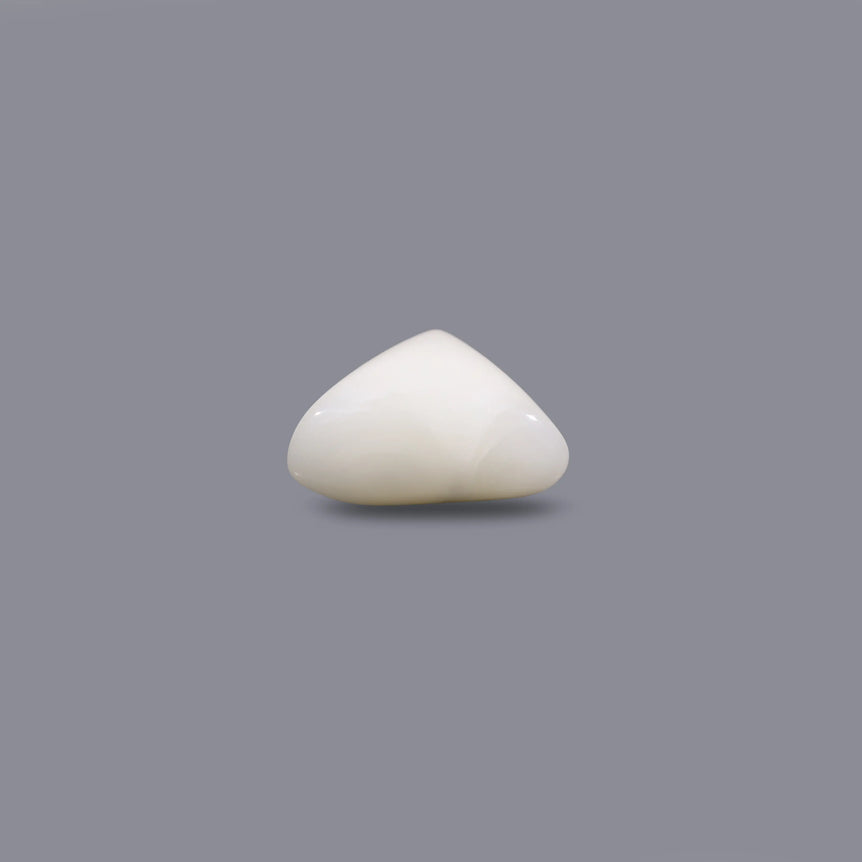 White Coral - 9.9 Carat