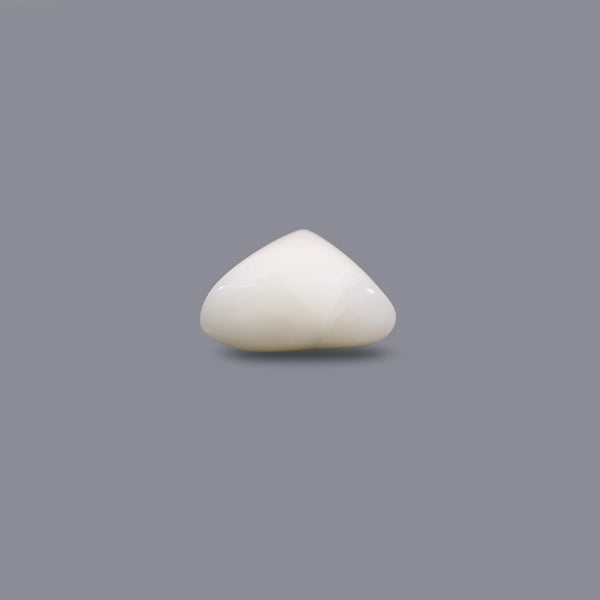 White Coral - 9.9 Carat