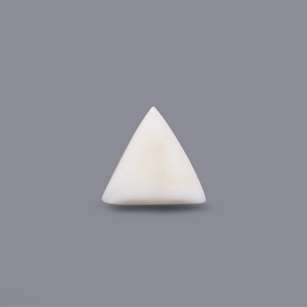 White Coral - 6.7 Carat