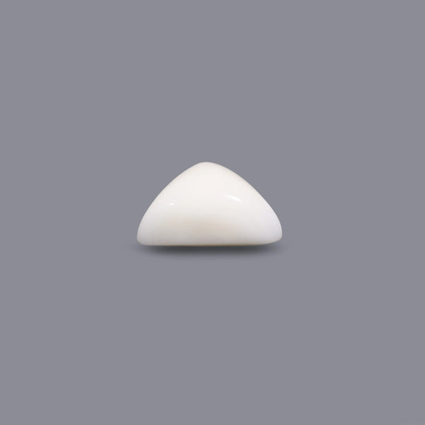 White Coral - 6.7 Carat