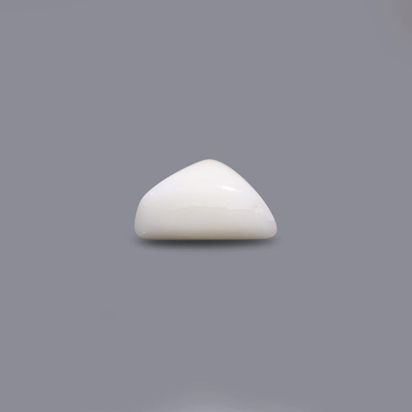 White Coral - 6.3 Carat