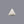 Load image into Gallery viewer, White Coral - 8.5 Carat - Pramogh
