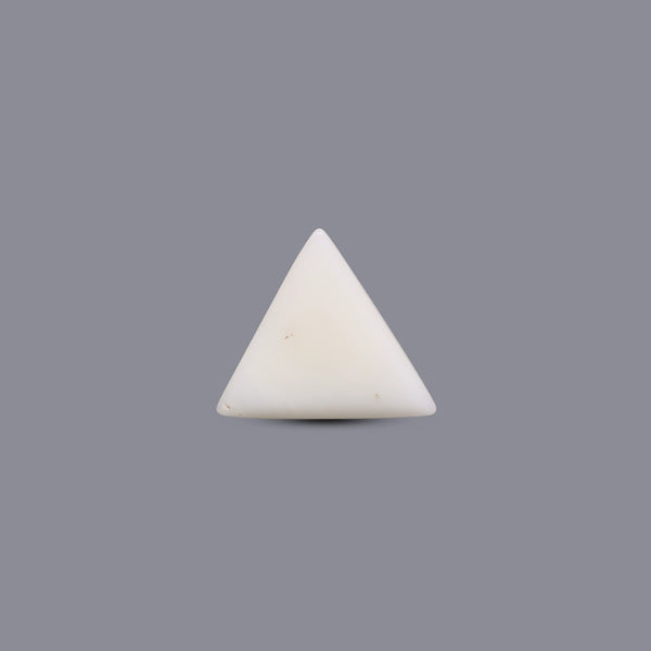 White Coral - 8.5 Carat