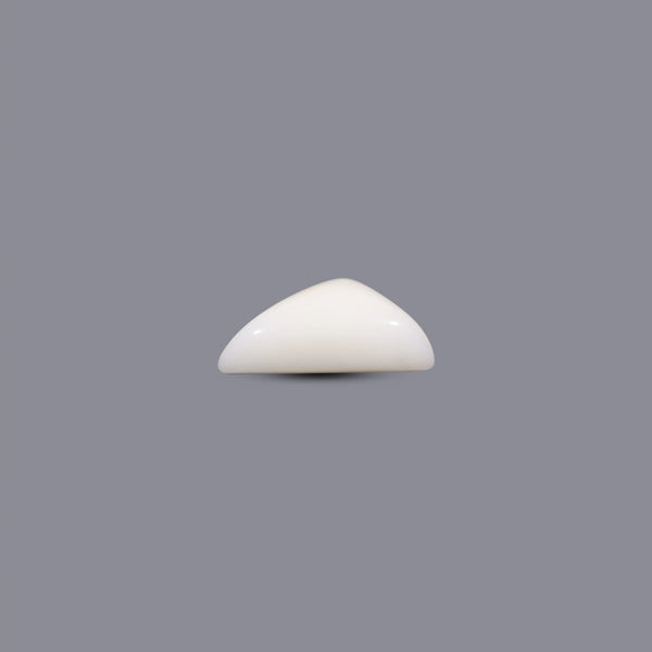 White Coral - 8.5 Carat