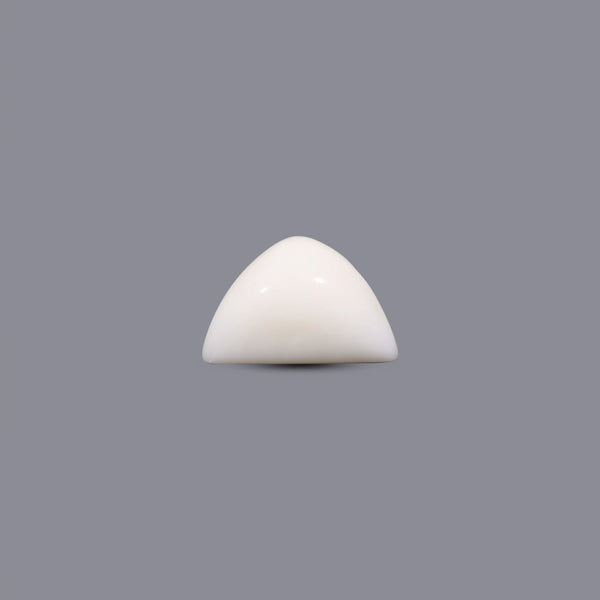 White Coral - 12.35 Carat
