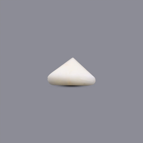 White Coral - 8.35 Carat