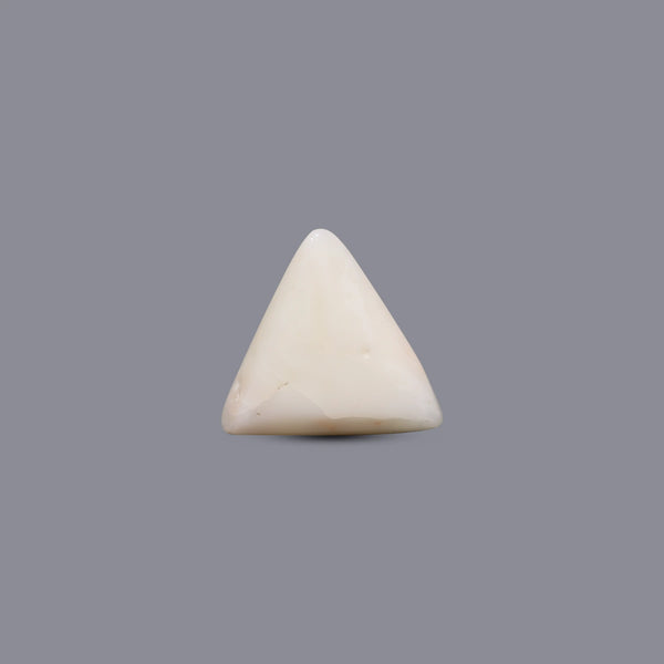 White Coral - 4.5 Carat