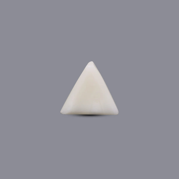 White Coral - 7.65 Carat