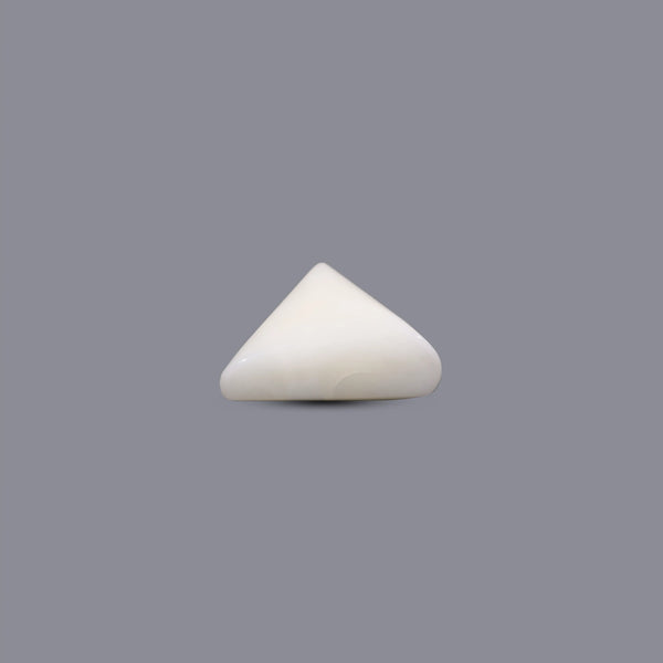 White Coral - 7.65 Carat