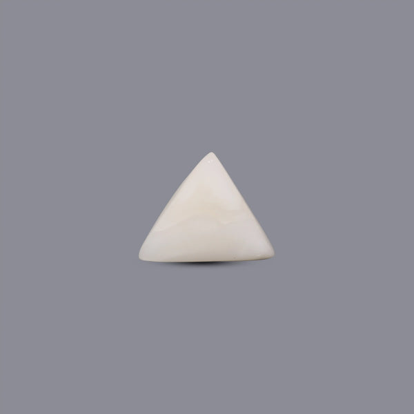White Coral - 7.75 Carat