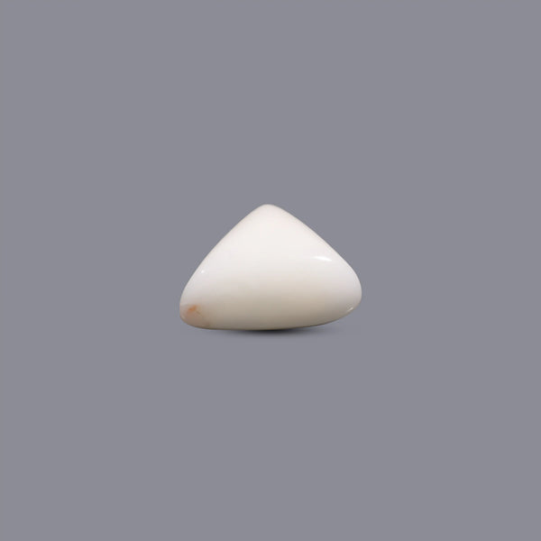 White Coral - 8.3 Carat