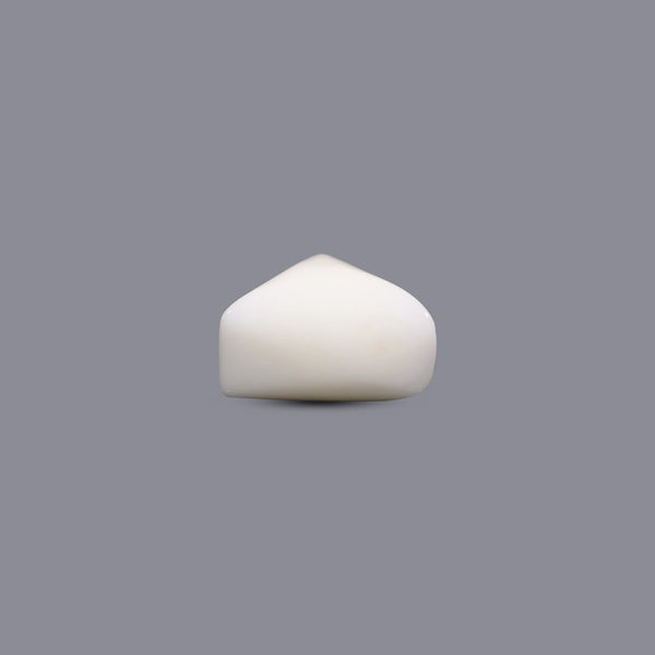 White Coral - 4.9 Carat