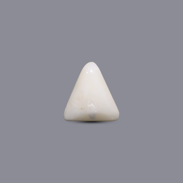 White Coral - 7.05 Carat